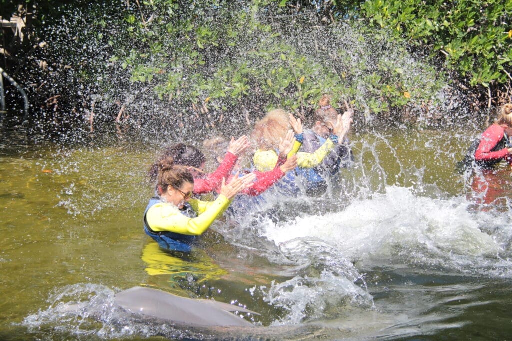 Patients enjoying water activity with dolphins at Kinder in the Keys